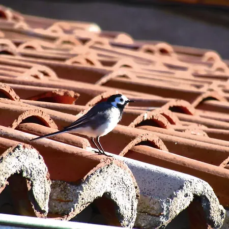 Casa vacanze Atardecer En Gredos 1